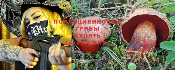 ГАЛЛЮЦИНОГЕННЫЕ ГРИБЫ Алексин